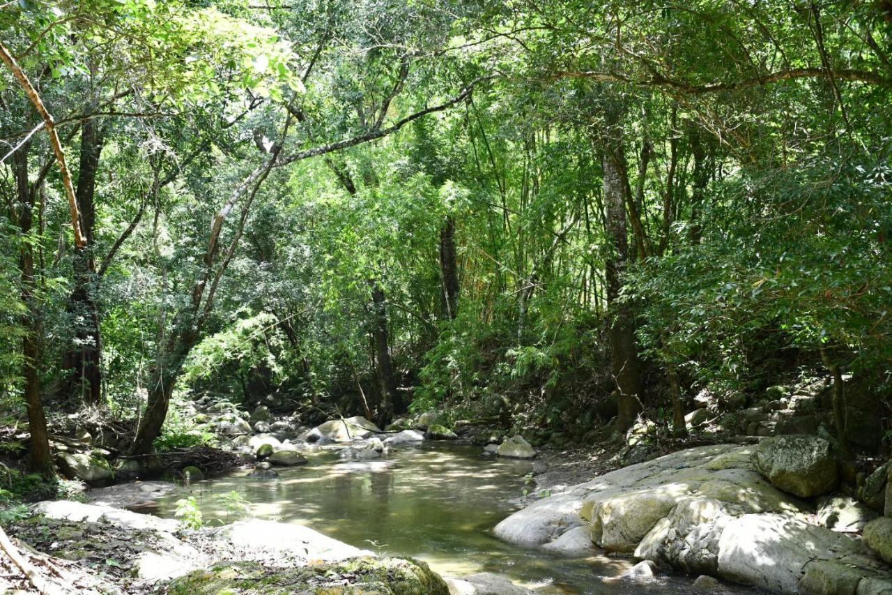 Reserva Biologica Caoba Bonda Dış mekan fotoğraf